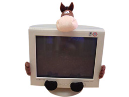GS7417 - Horse  (5 pcs set - monitor decoration)